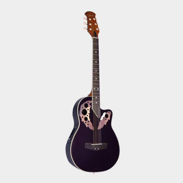 Hertz HZR-3801E Acoustic Guitar_BK