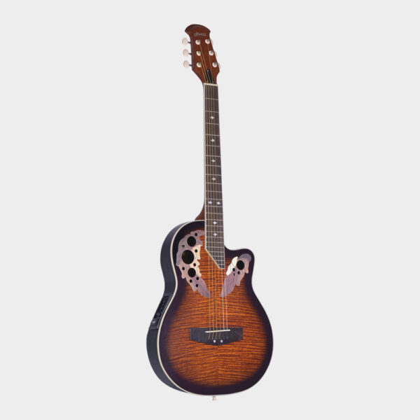 Hertz HZR-3801E Acoustic Guitar_TS