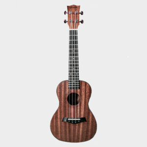 HERTZ HZA-UK UKULELE