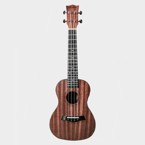 HERTZ HZA-UK UKULELE