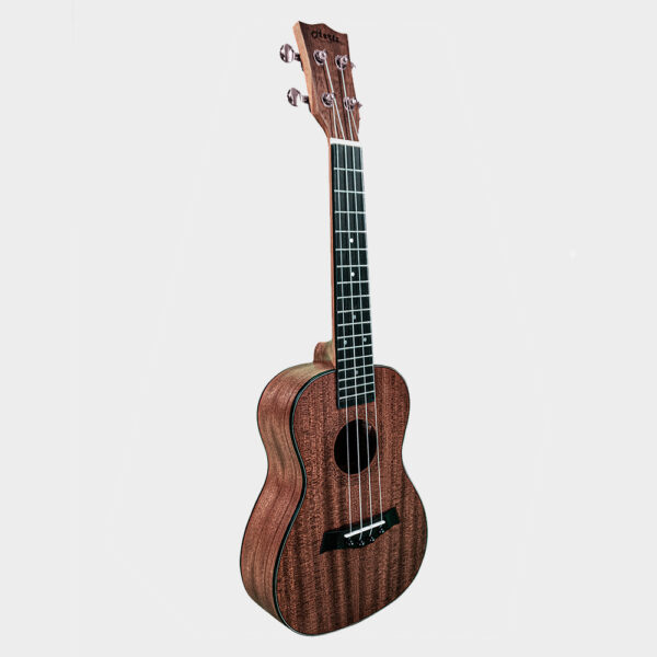 HERTZ HZA-UK UKULELE_left