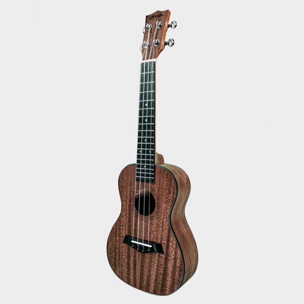 HERTZ HZA-UK UKULELE_right