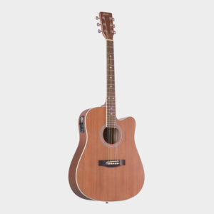 Hertz HZA9000 Acoustic Guitar - Natural