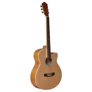 Hertz HZA4040 Acoustic Guitar