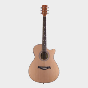 Hertz HZA8000 Acoustic Guitar - Natural