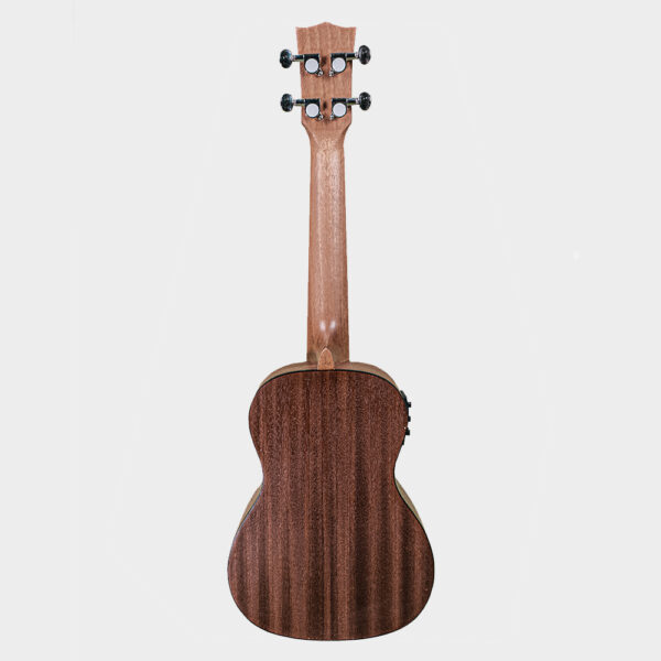 Hertz HZA-UK EQ Ukulele_back