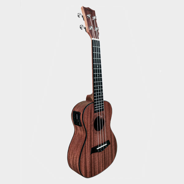 Hertz HZA-UK EQ Ukulele_left