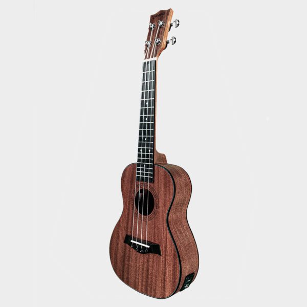 Hertz HZA-UK EQ Ukulele_right