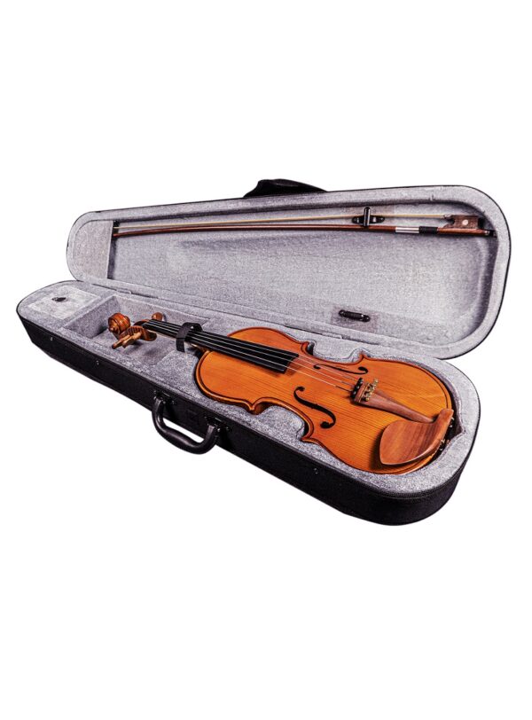 Hertz VG-03 Violin_In-Case